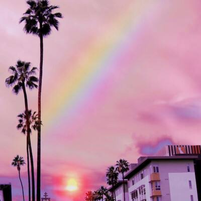 今期澳门三肖三码开一码下载手机版